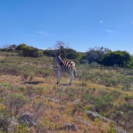 Fijnbosch Game Lodge 杰弗里湾 外观 照片