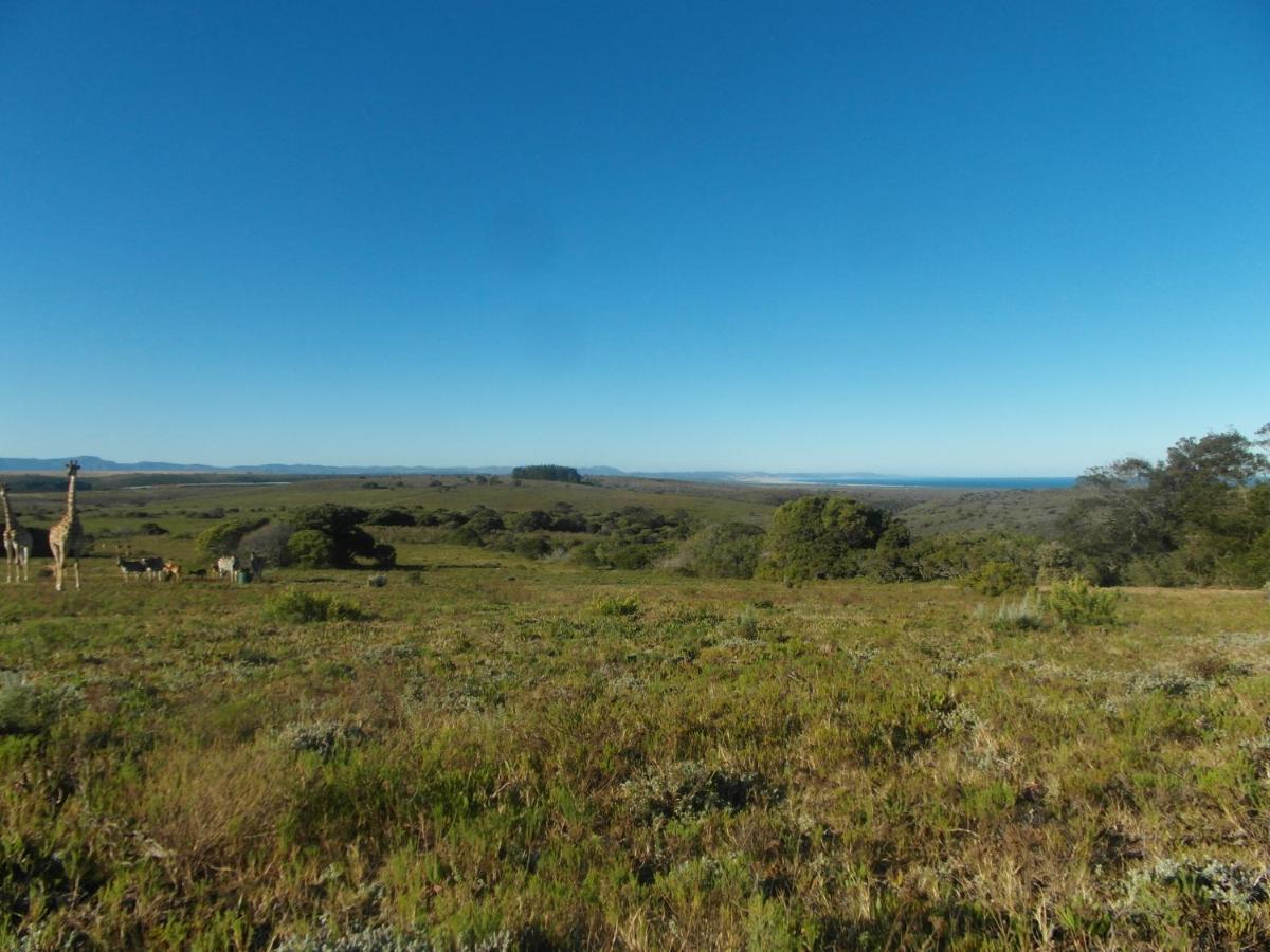 Fijnbosch Game Lodge 杰弗里湾 外观 照片