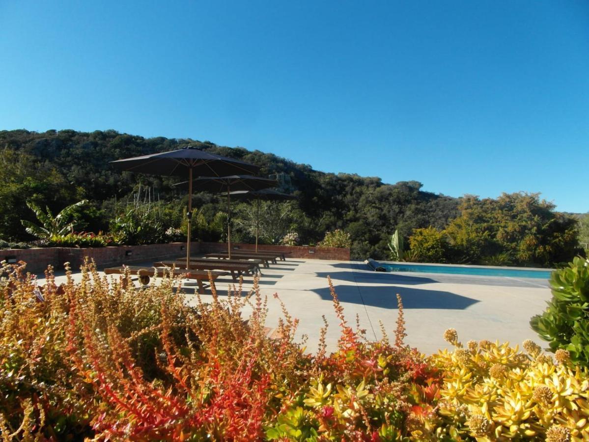 Fijnbosch Game Lodge 杰弗里湾 外观 照片