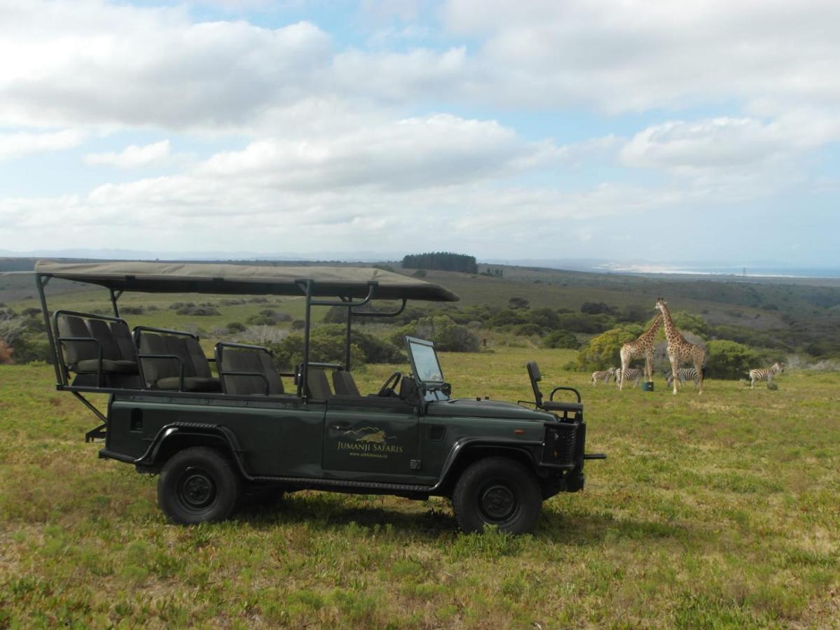 Fijnbosch Game Lodge 杰弗里湾 外观 照片